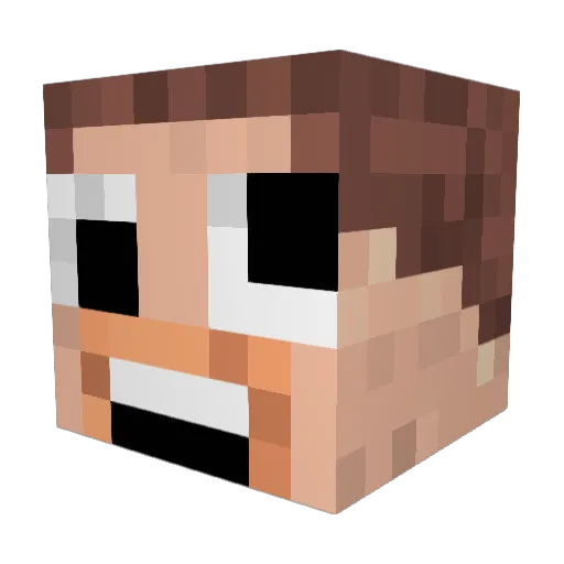 SteenAU Minecraft avatar head, 3D render