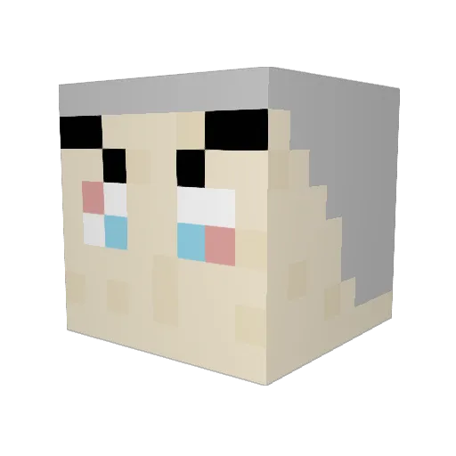 SteenDeVader Minecraft avatar head, 3D render