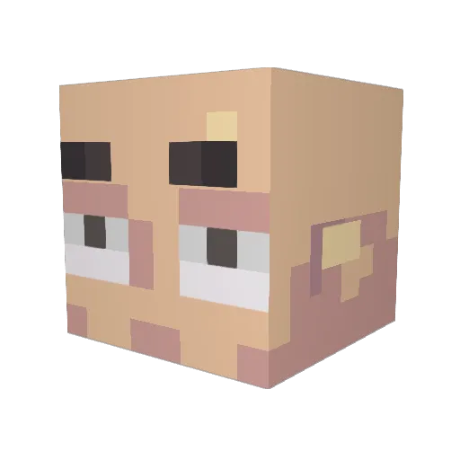 Steenie Minecraft avatar head, 3D render