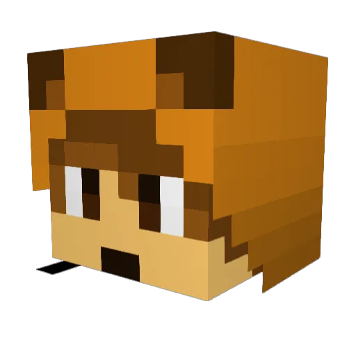 Steep_Fox Minecraft avatar head, 3D render