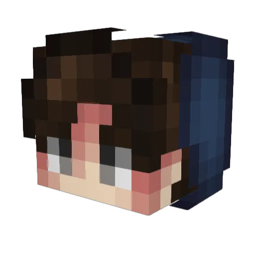 SteepoyTV Minecraft avatar head, 3D render