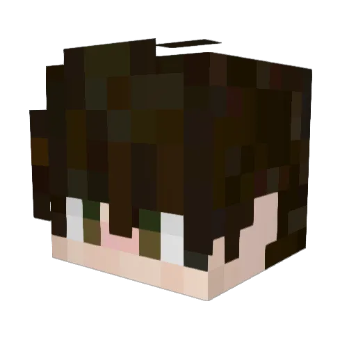 SteeveMw1_ Minecraft avatar head, 3D render