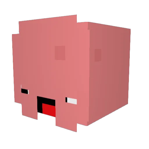Steezy_Skeever Minecraft avatar head, 3D render