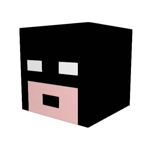 Steezy_duck Minecraft avatar head, 3D render