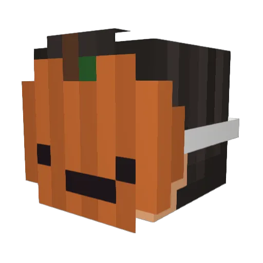 Stef_0629 Minecraft avatar head, 3D render