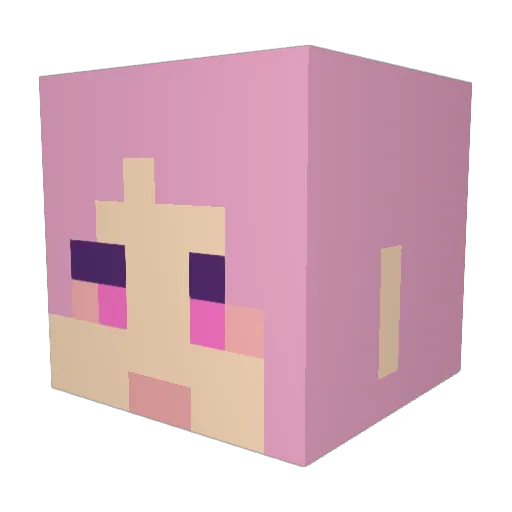 StefaN699 Minecraft avatar head, 3D render