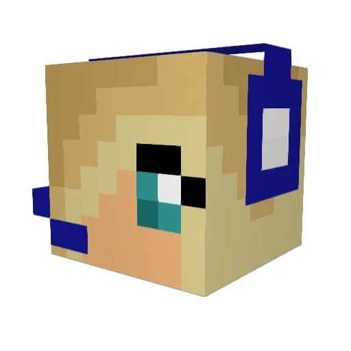 Stefan090880 Minecraft avatar head, 3D render