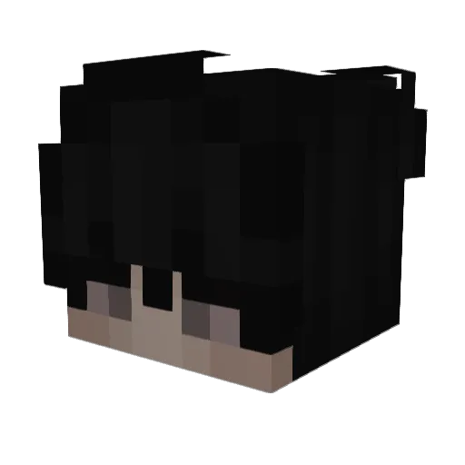 Minecraft-Avatar von Stefan4444: Kopf als 3D-Render