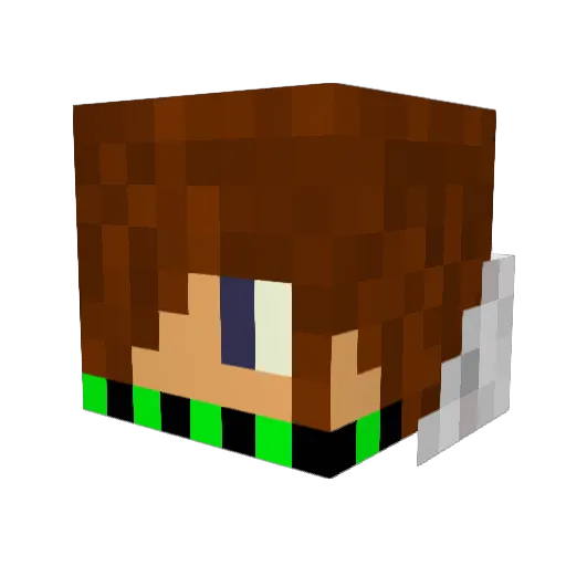 Stefan60 Minecraft avatar head, 3D render