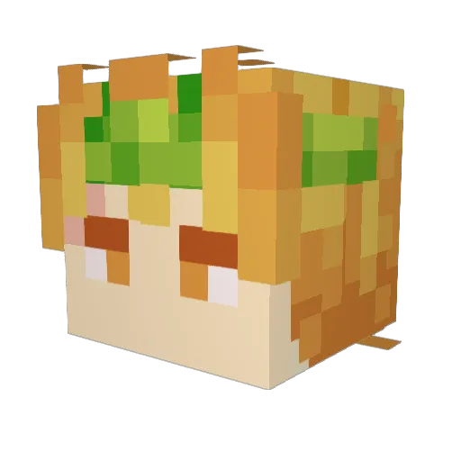 Stefan76 Minecraft avatar head, 3D render