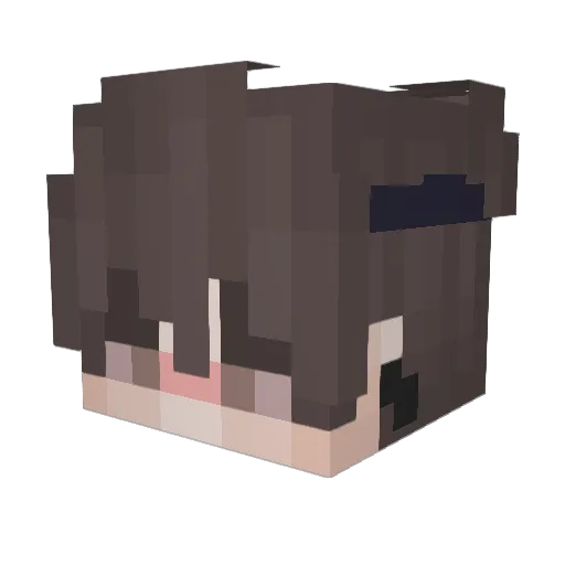 StefanDMN Minecraft avatar head, 3D render