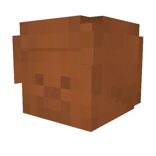 StefanFil Minecraft avatar head, 3D render