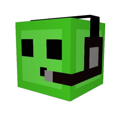 Stefan_9461 Minecraft avatar head, 3D render