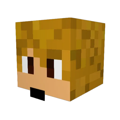 Stefan_ADG Minecraft avatar head, 3D render