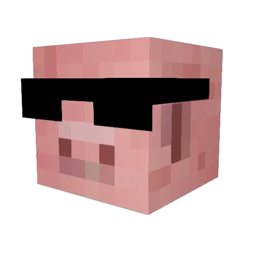 Stefan_de_eerste Minecraft avatar head, 3D render