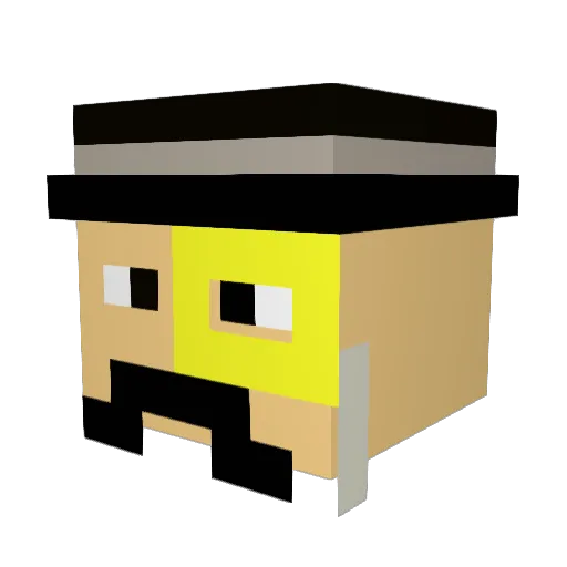 Stefaneq12354 Minecraft avatar head, 3D render