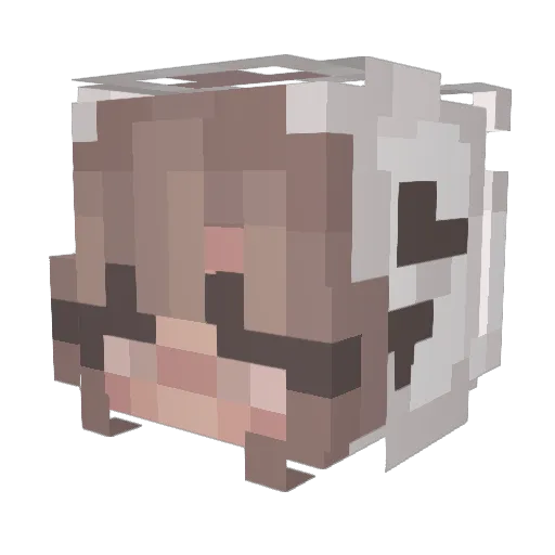 Stefanie330 Minecraft avatar head, 3D render