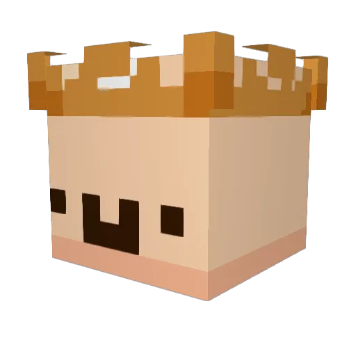 Stefankrol Minecraft avatar head, 3D render