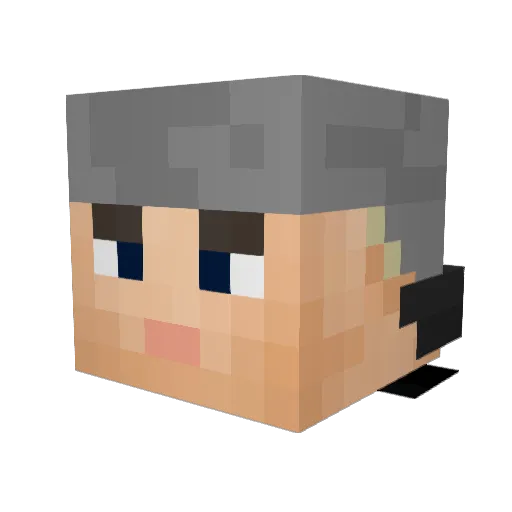 Stefdv_ Minecraft avatar head, 3D render