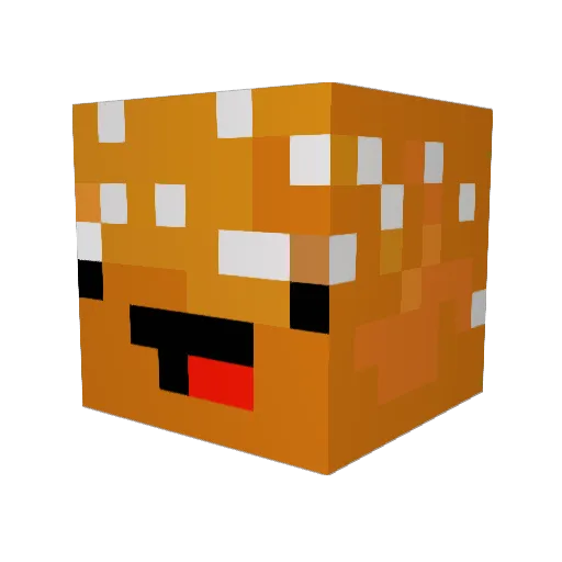 Steferoonie Minecraft avatar head, 3D render