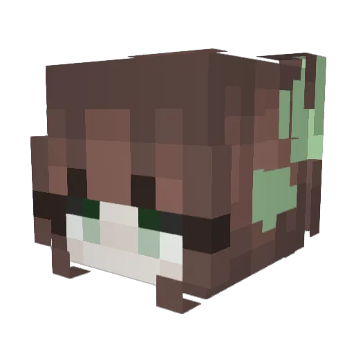Steffi340 Minecraft avatar head, 3D render