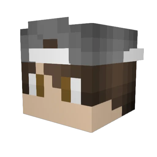 Steffke Minecraft avatar head, 3D render
