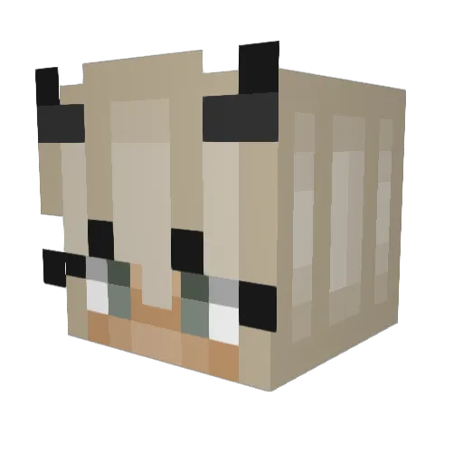 SteffyG Minecraft avatar head, 3D render
