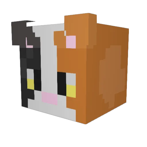 Stefii24 Minecraft avatar head, 3D render
