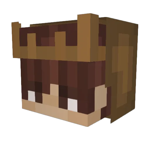 Stefinus321 Minecraft avatar head, 3D render