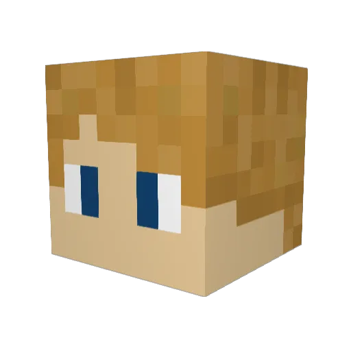 Stefregan Minecraft avatar head, 3D render