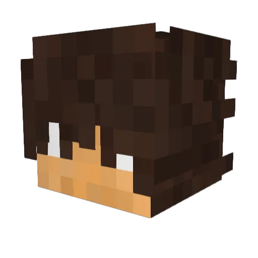 Stefu_16 Minecraft avatar head, 3D render