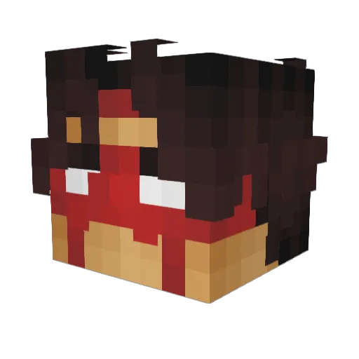 Stegbee Minecraft avatar head, 3D render