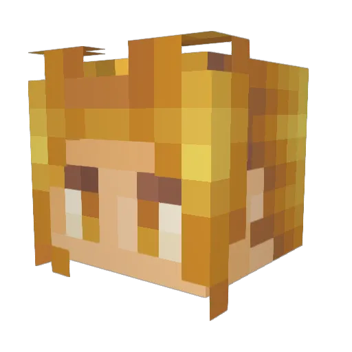 Stegiscool Minecraft avatar head, 3D render