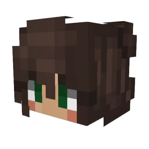 Stegobertin Minecraft avatar head, 3D render