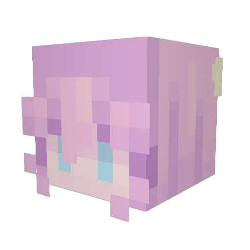 Stehsaer Minecraft avatar head, 3D render
