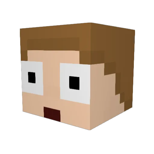 Steiferpinguin Minecraft avatar head, 3D render