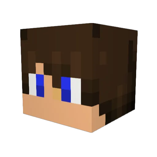 Stein_Sucher Minecraft avatar head, 3D render