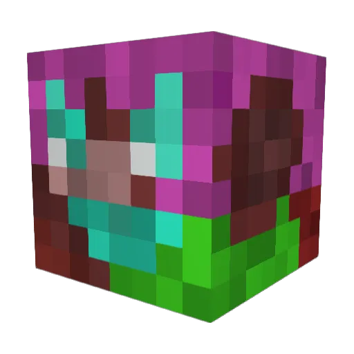 Steini2002 Minecraft avatar head, 3D render