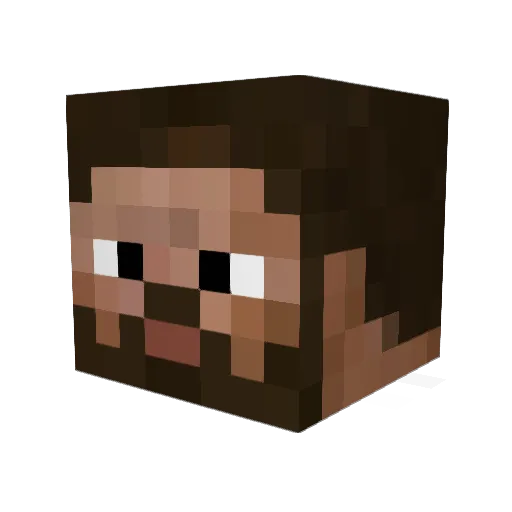 Steinn96 Minecraft avatar head, 3D render