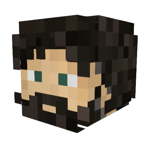 SteinsGate92 Minecraft avatar head, 3D render
