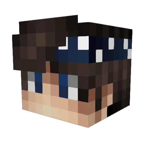 Steins__ Minecraft avatar head, 3D render