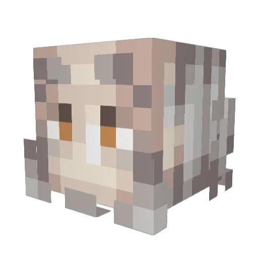 Stel716 Minecraft avatar head, 3D render