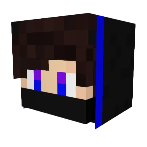 Stelf38 Minecraft avatar head, 3D render