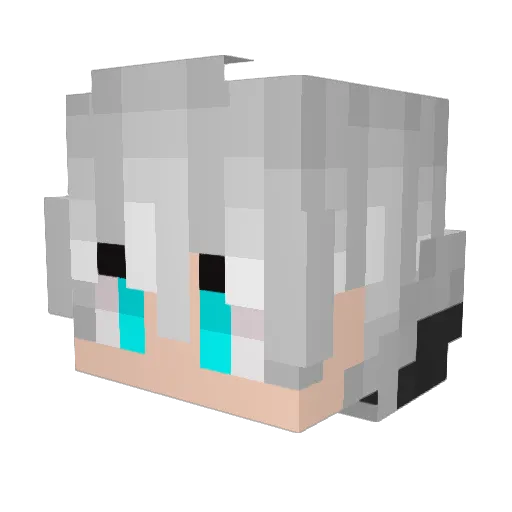 Stelfboy Minecraft avatar head, 3D render