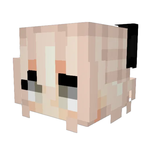 StellaBun Minecraft avatar head, 3D render