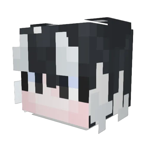StellaCarta Minecraft avatar head, 3D render