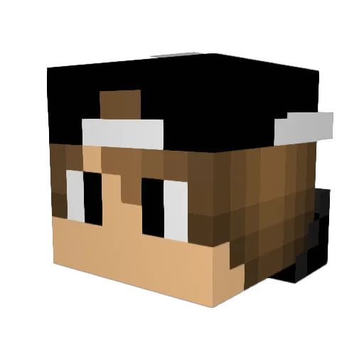 StellaMax Minecraft avatar head, 3D render