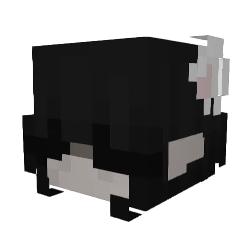 StellaP12345 Minecraft avatar head, 3D render