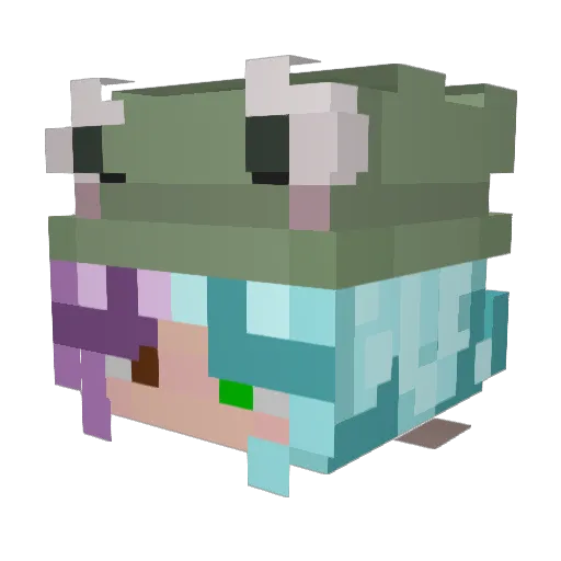 StellaStar2009 Minecraft avatar head, 3D render