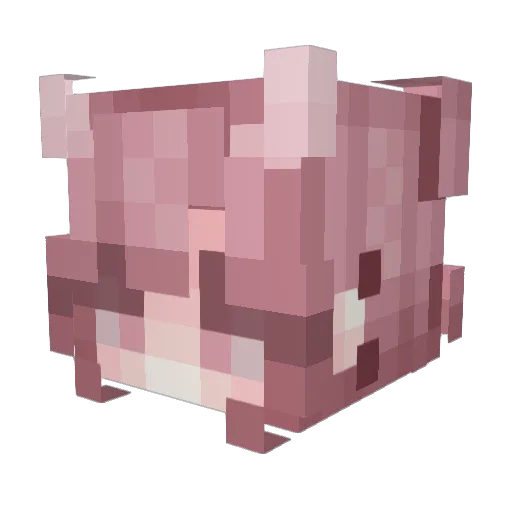 StellaVidens Minecraft avatar head, 3D render
